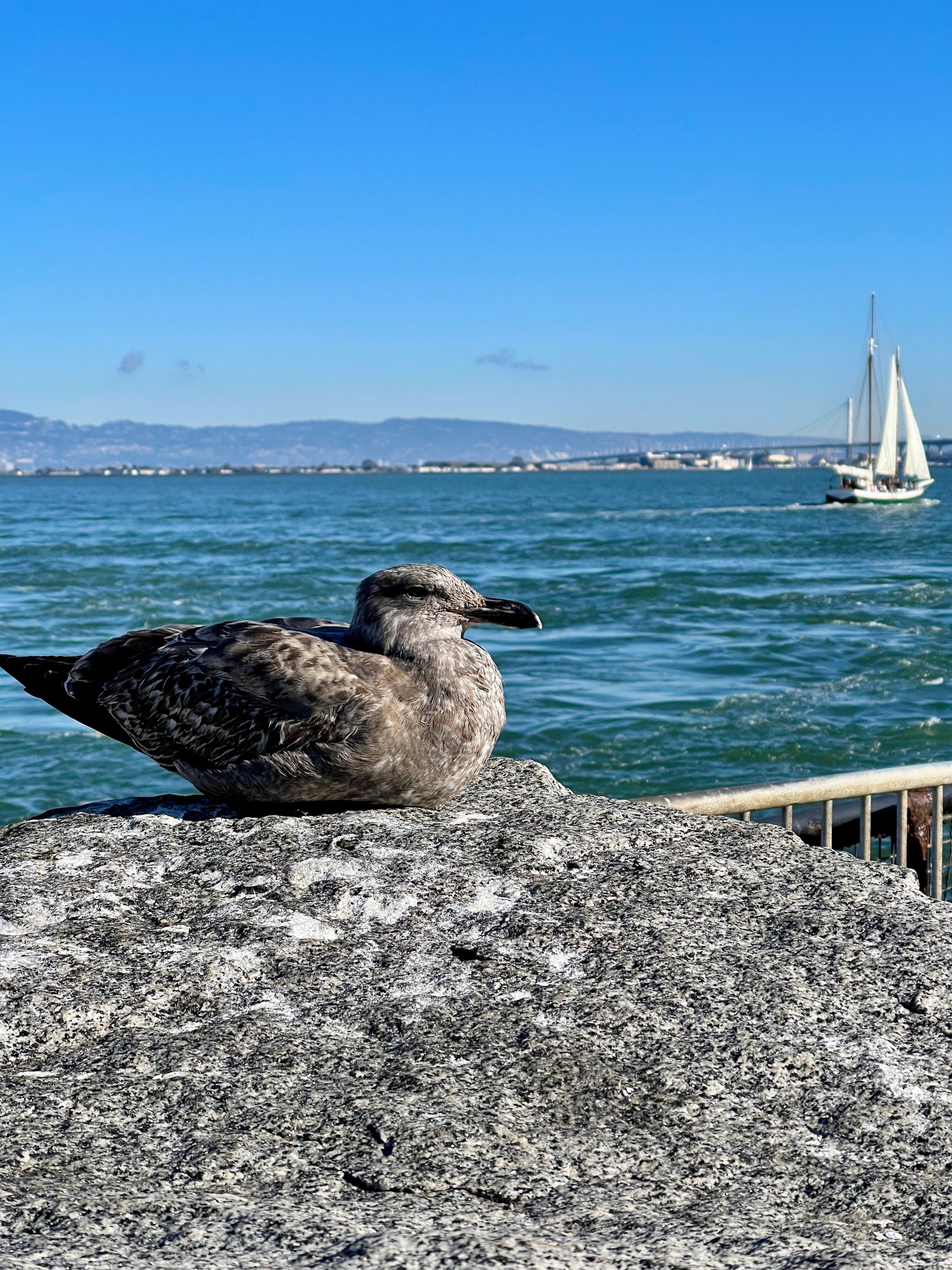 Portfolio 1 Of 30 photograph.