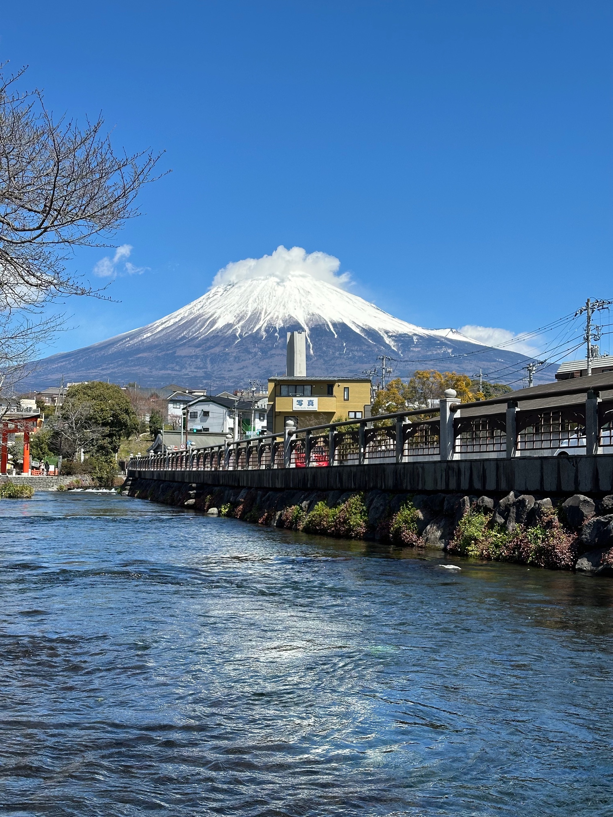 Portfolio 16 Of 30 photograph.