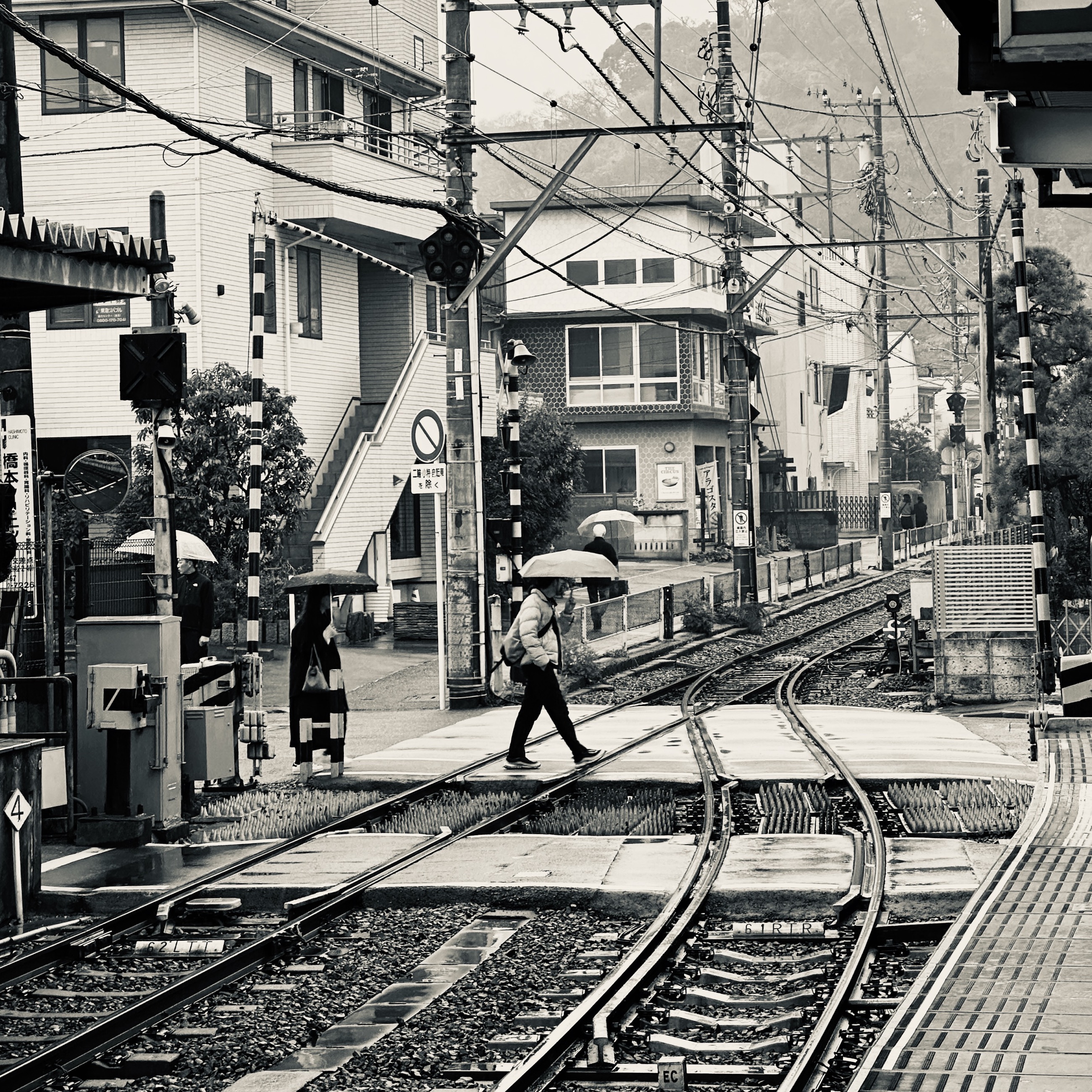 Portfolio 17 Of 30 photograph.