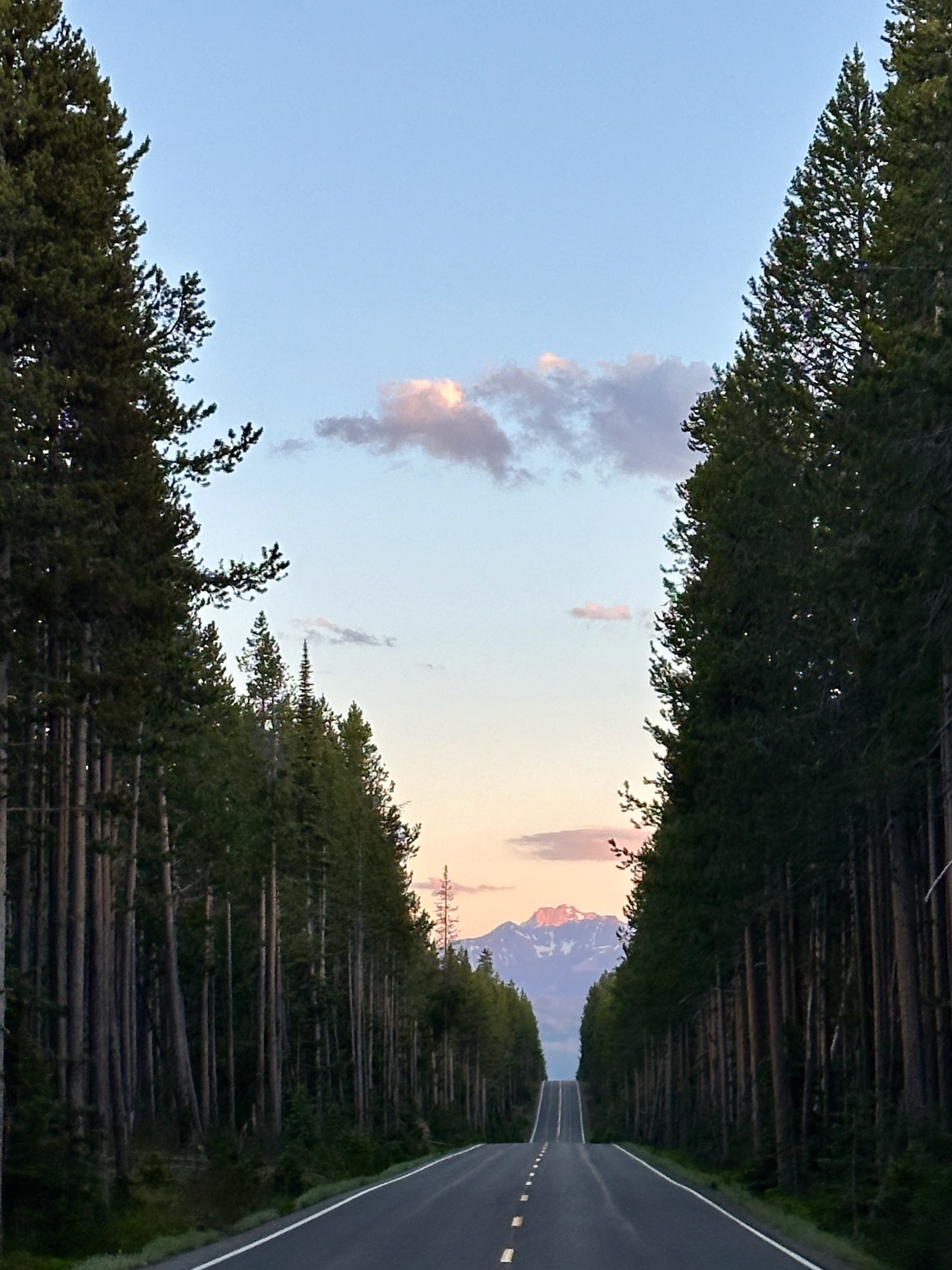 Portfolio 21 Of 30 photograph.