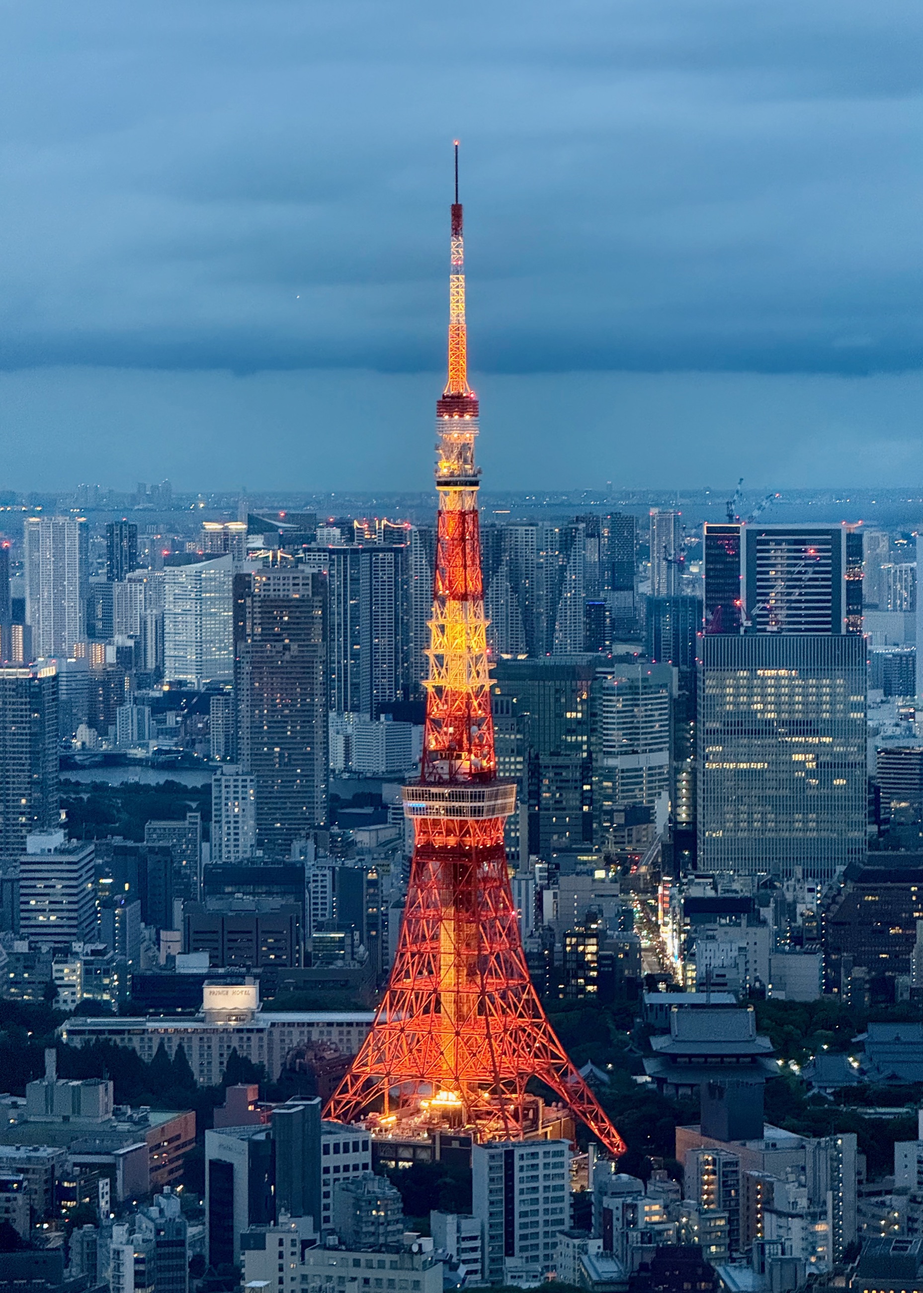 Portfolio 27 Of 30 photograph.