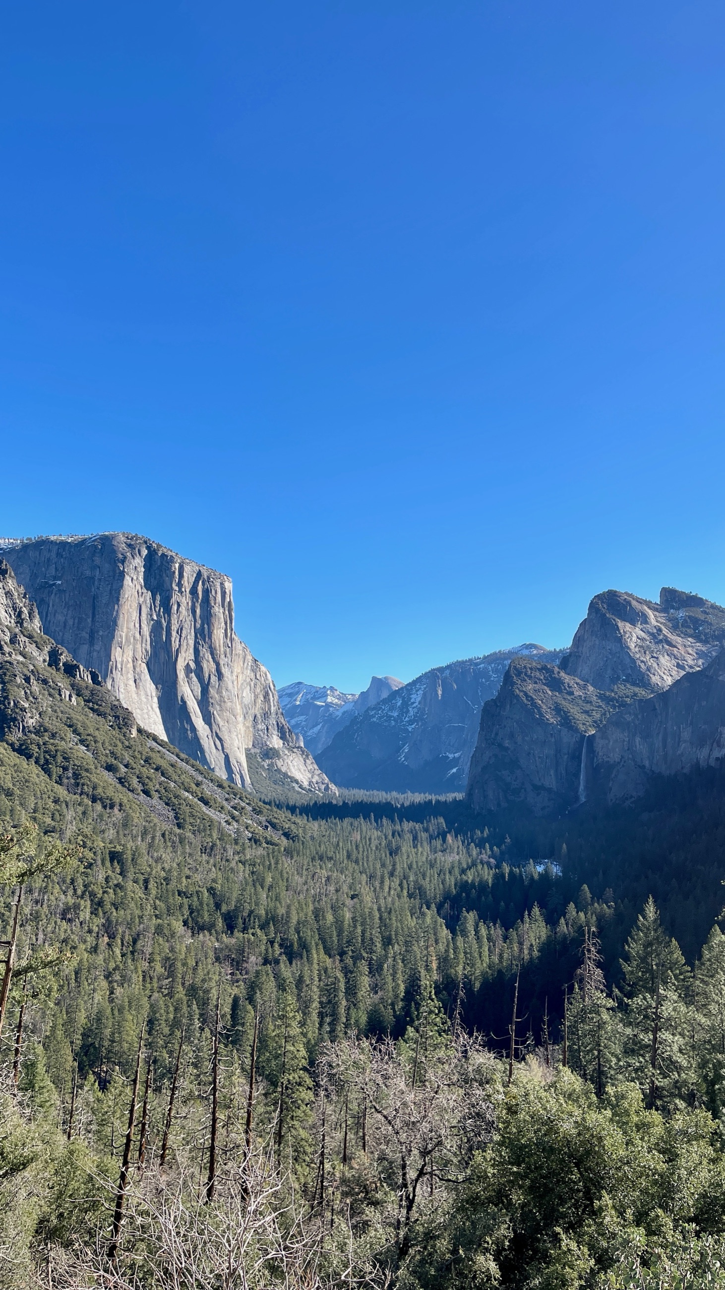 Portfolio 3 Of 30 photograph.